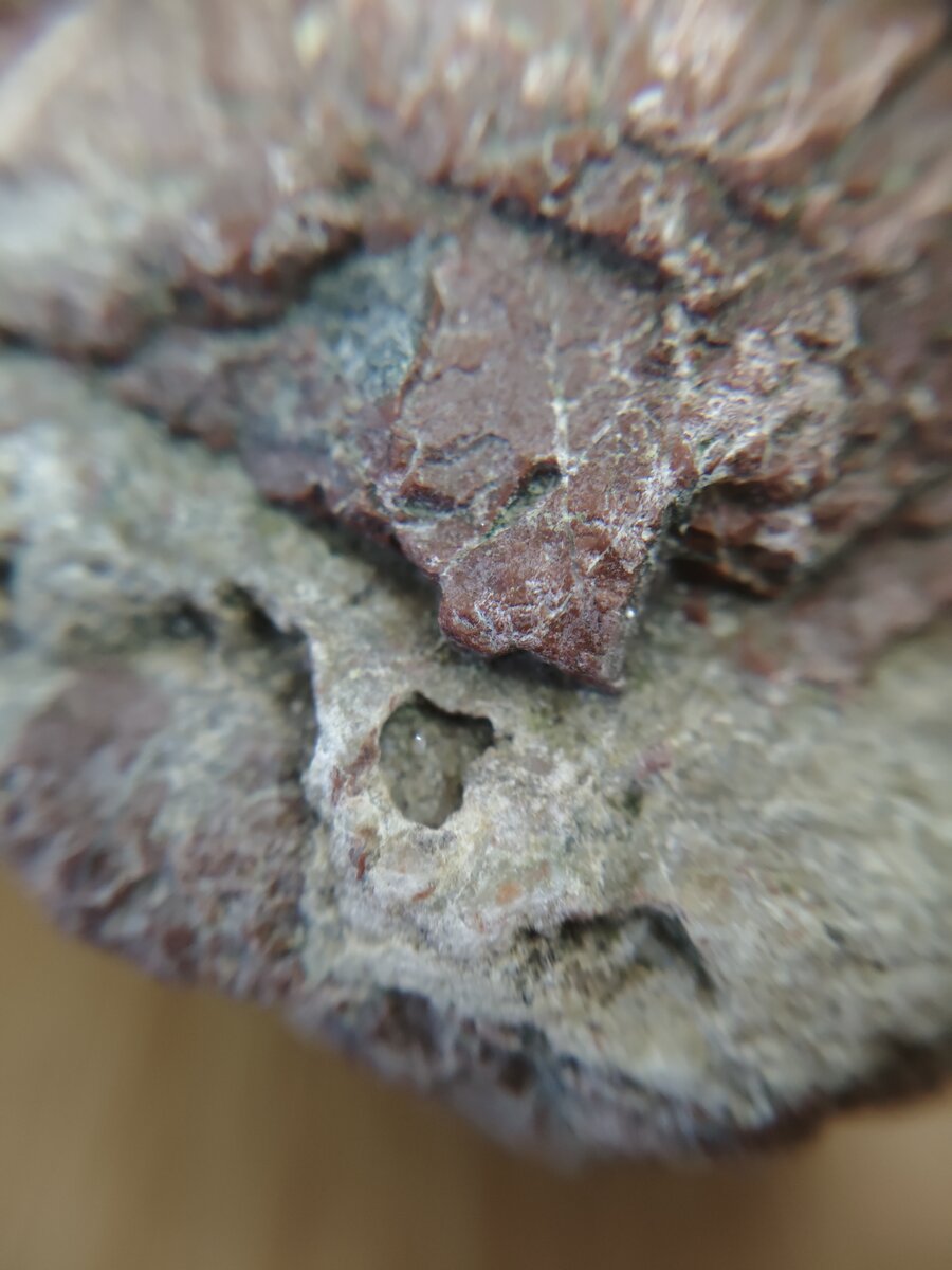 #3 赤い火山岩 クローズアップ