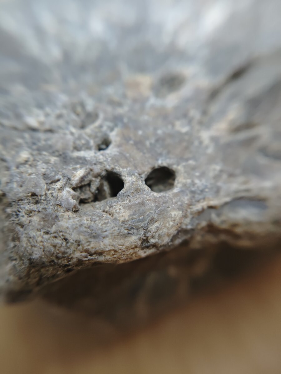 #4 花崗岩 クローズアップ