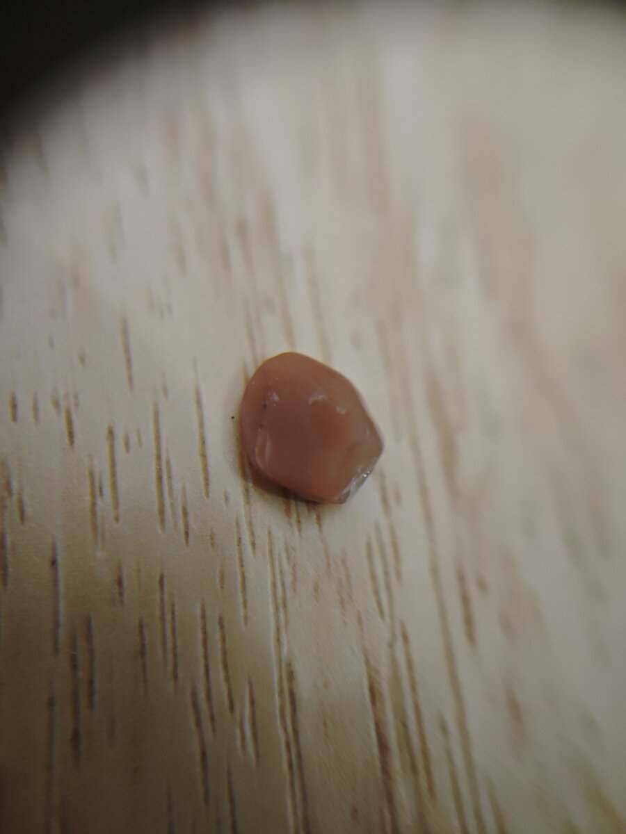 #8 カーネリアン