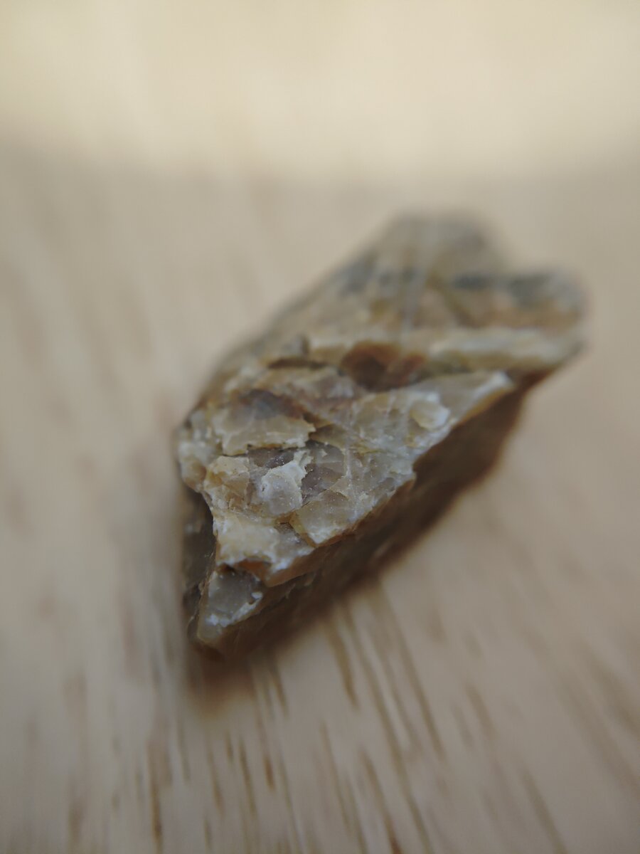 #15 チャート（茶褐色）クローズアップ